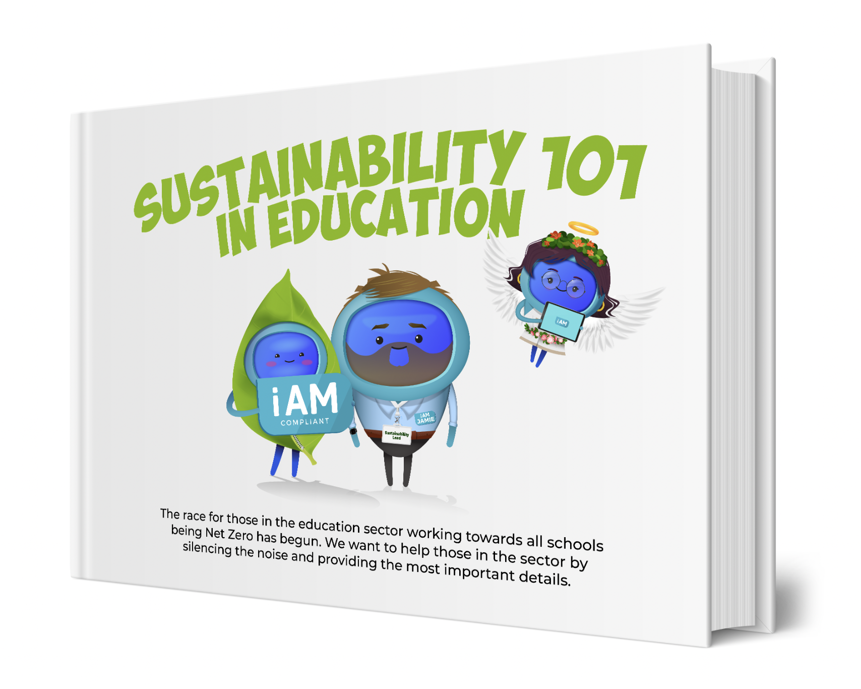 Sustainability 101 in Education 